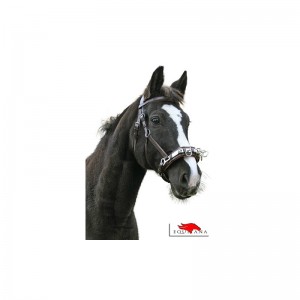 Capitan, Kerbl-2246