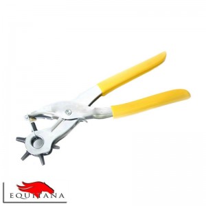 Cleste Preducea Eco-2310