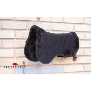 Blanita greaban Paddock, Ekkia