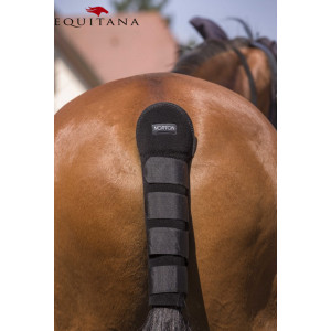 Protectie coada din neopren, Norton