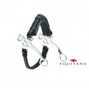 hackamore