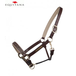Capastru de piele Lupin