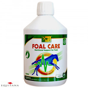 Supliment pentru manji Foal Care