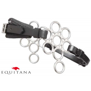 Hackamore tip floare, Zilco