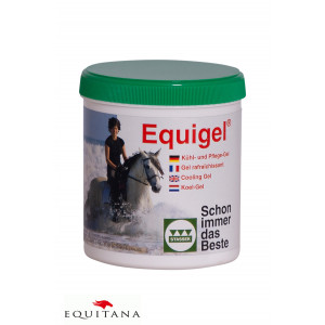 Stassek Equigel