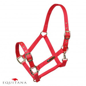 Capastru Shires Arma