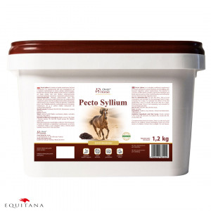 Pecto Syllium 