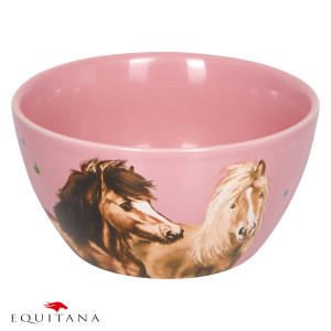 Bol cu caluti Loesdau