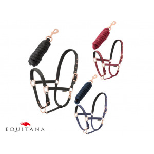 Set capastru cu lesa Daslo Gold, Tattini