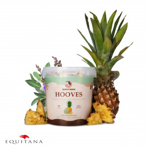 Recompense cu ananas si salvie Candy Horse Hooves