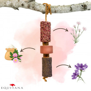 Jucarie din lemn Candy Horse Tummy