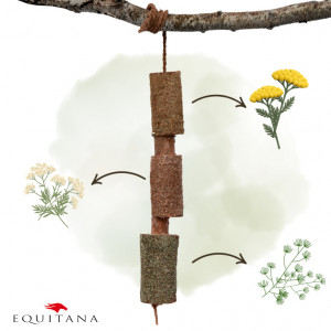 Jucarie din lemn Candy Horse Calm