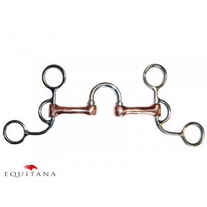 Zabala Bran Ren's High Port, Tattini