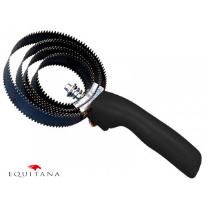 Tesala spiralata Tattini