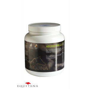Supliment nutritiv Meganutril Junior lichid