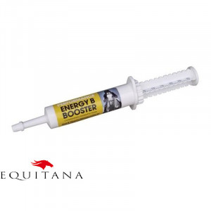 Supliment nutritiv pentru energie, Energy Booster