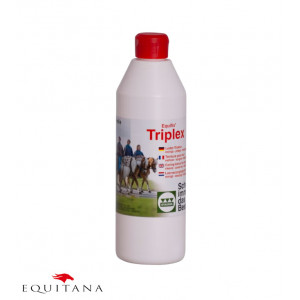 Stassek Equifix Triplex