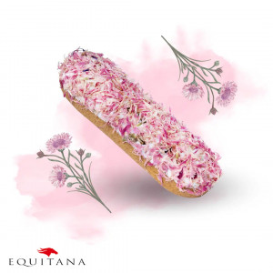 Ecler cu albastrele roz Candy Horse
