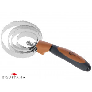 Tesala spiralata Covalliero 2K