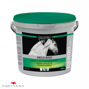 Supliment furajer de baza, Equistro Mega Base