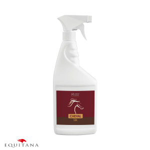 Over Horse Cheval Silk