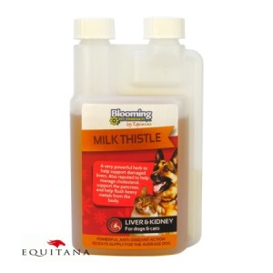 Tinctura pentru ficat si rinichi pentru caini si pisici, Milk Thistle