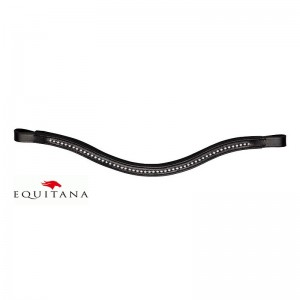 Fruntar anatomic