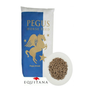 pegus breed plus