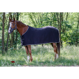 Patura polar Riding World, Ekkia