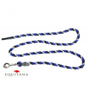 Lesa pentru capastru Mustang