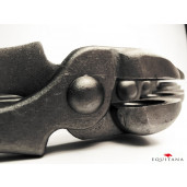 Cleste forjare Icar