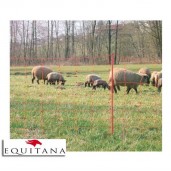 Plasa gard electric pentru ovine OviNet