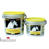 Supliment nutritiv pentru musculatura Myo Power Equistro