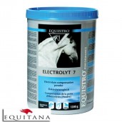 Electrolyt 7 Equistro