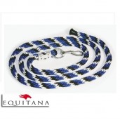 Lesa pentru capastru Mustang
