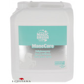 Lotiune coama coada, Magic Brush