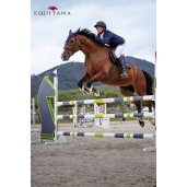 Sacou Barbatesc pentru competitii EQUITHÈME "BORDO" 