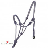 Capastru de dresaj natural, Norton