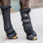 Protectii de grajd Royal Deluxe, Back on Track