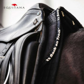 Protectie greaban Aurora, Back on Track