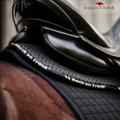 Protectie greaban Aurora, Back on Track