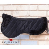 Blanita greaban Paddock, Ekkia