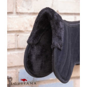 Blanita greaban Paddock, Ekkia