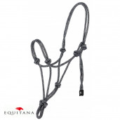 Capastru de dresaj natural, Norton