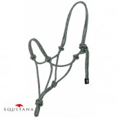 Capastru de dresaj natural, Norton