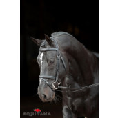 Frau Classic Kerbl