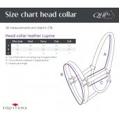 Set capastru cu blanita + lesa
