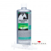 Mega Base Junior
