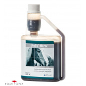 Umijo Immun Horse, Alfavet