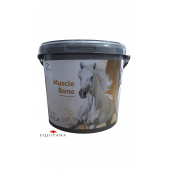 Muscle Bone